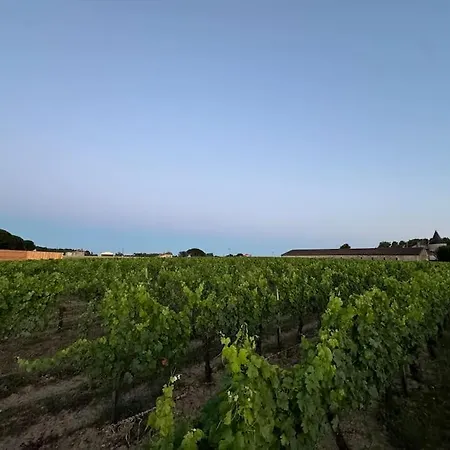 شقة 'argile' Vineyard Cabin At Chateau Puynard Berson
